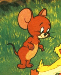 jerry 3